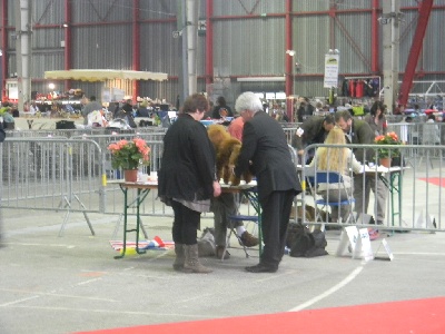 Des Terres Du Carladez - Expo  de  LIMOGES (10/04/2011)