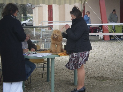 Des Terres Du Carladez - Expo de BERGERAC(28/03/2010)