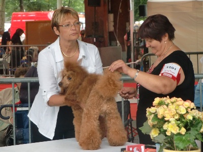 Des Terres Du Carladez - Expo de BRIVE (15/08/2011)